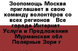 Зоопомощь.Москва приглашает в свою команду волонтёров со всех регионов - Все города Интернет » Услуги и Предложения   . Мурманская обл.,Полярные Зори г.